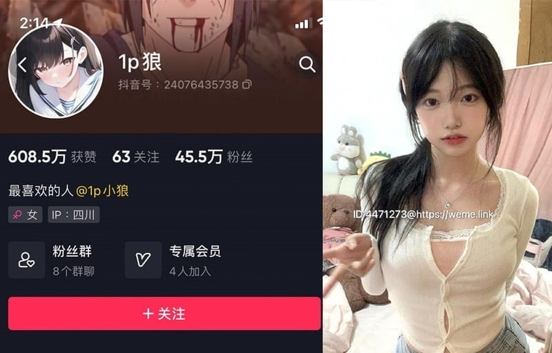 1p狼(狼狼喵) – 微密圈写真&视频合集【持续更新中】-客模COS写真收藏网