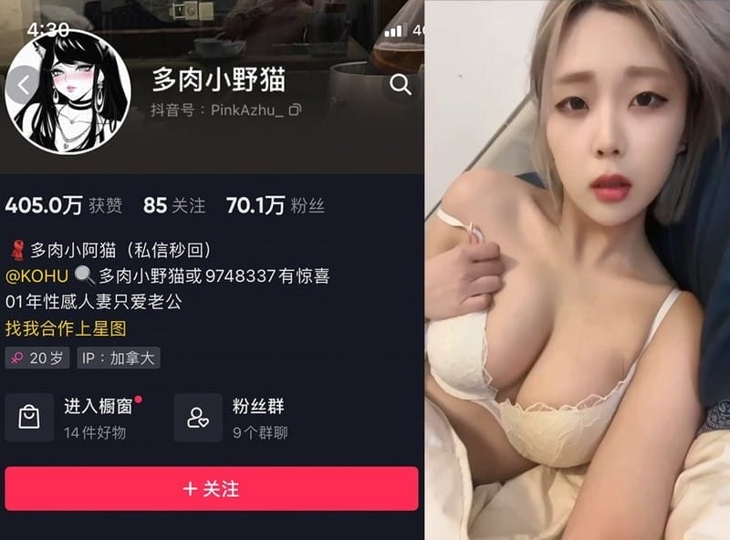 多肉小野猫 – 微密圈写真&视频合集【持续更新中】-客模COS写真收藏网