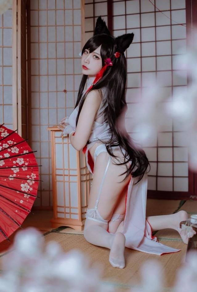 二佐Nisa – NO.196 犬之眷 碧蓝航线 爱宕 旗袍 [18P-204MB]-客模COS写真收藏网