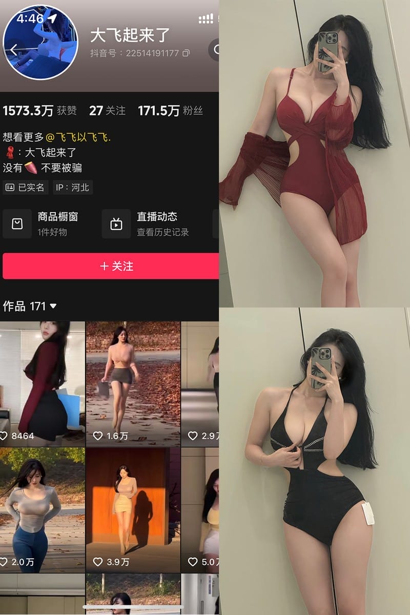 大飞起来了(飞飞以飞飞) – 微密圈写真&视频合集【持续更新中】-客模COS写真收藏网
